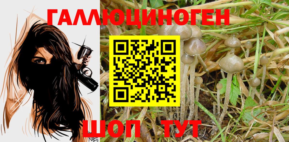 Псилоцибиновые грибы Magic Shrooms Курган